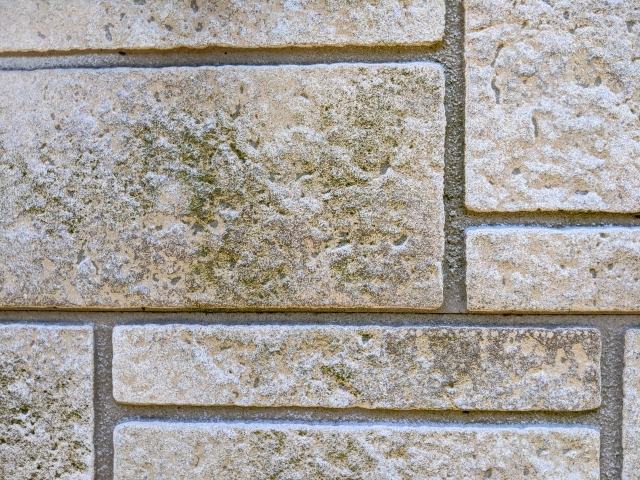 カビが生えた外壁