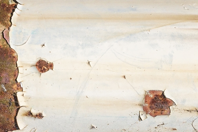 塗装が剥げた壁