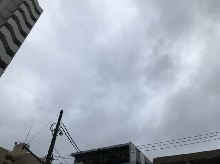 日当たりの悪い 日陰